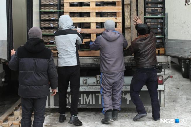 В Новосибирске бизнес, таможенники и Россельхознадзор поспорили из-за заторов на границе