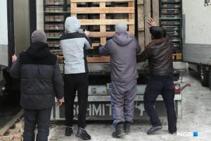 В Новосибирске бизнес, таможенники и Россельхознадзор поспорили из-за заторов на границе