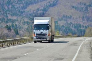 На грани краха: перевозчики Приморья обратились к Трутневу из‑за штрафов на пунктах контроля